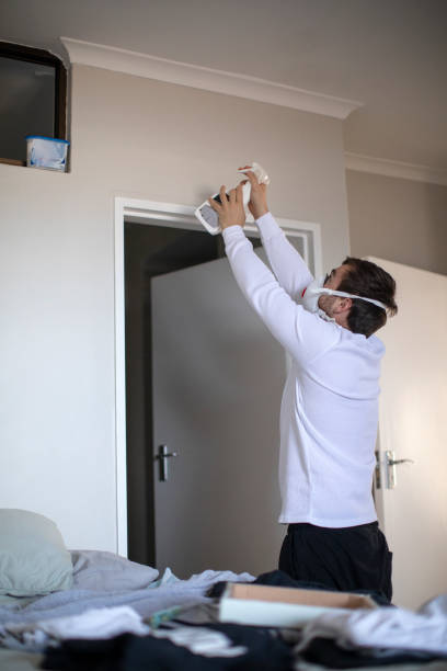 Mold Documentation for Insurance Claims in Mendota, IL