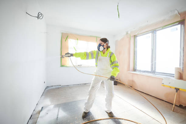 Trusted Mendota, IL Mold Removal Experts