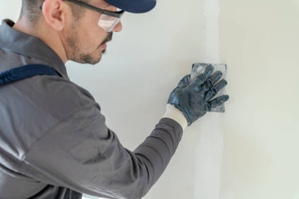 Best Black Mold Removal  in Mendota, IL