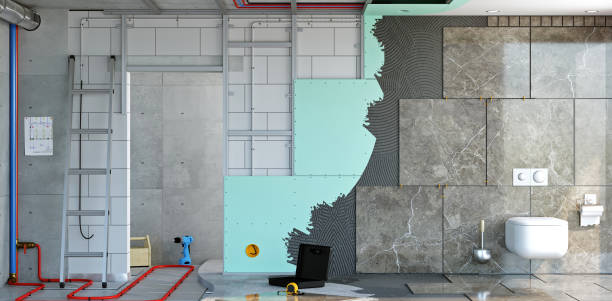 Best Industrial Mold Remediation  in Mendota, IL