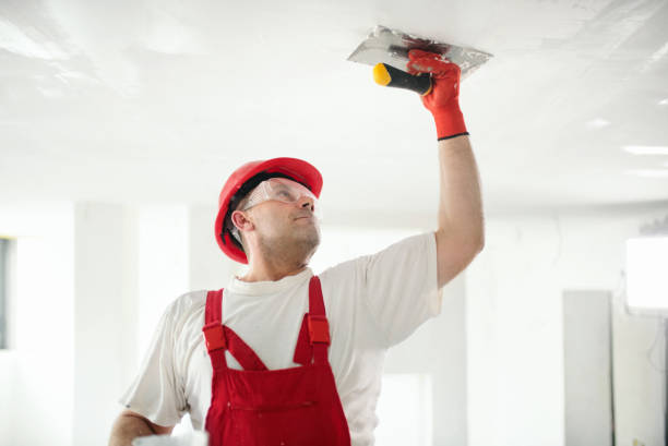 Best Real Estate Mold Inspection  in Mendota, IL