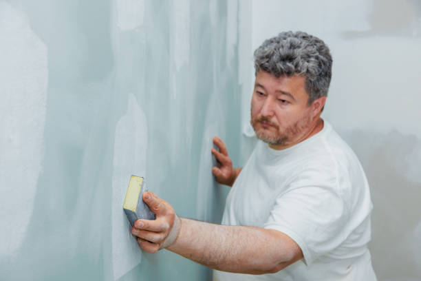 Best Mold Remediation for Vacation Homes  in Mendota, IL