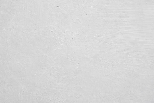 Mold Remediation for Vacation Homes in Mendota, IL