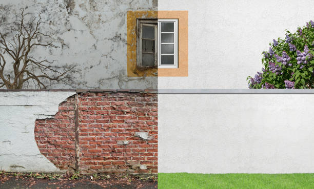 Best Mold Documentation for Insurance Claims  in Mendota, IL