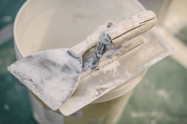 Best Biohazard Mold Removal  in Mendota, IL